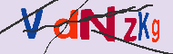 Codice captcha